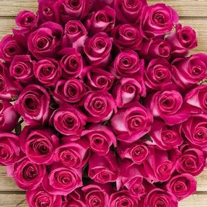 Meet your Posher, Lorissa